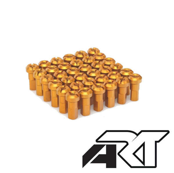 HAAN WHELS SPEKES SET - 36 paprsků TR -Gold