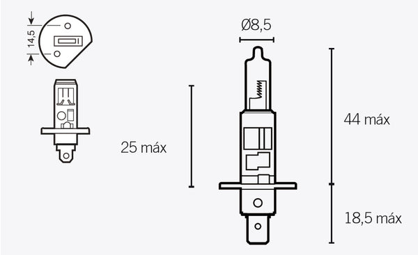 V Části H1 žárovky 12V 55W 14636