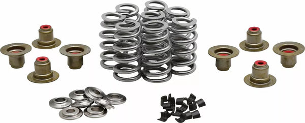 Kibblewwhite Beehive Valve Spring Kit 0,640 20-24350