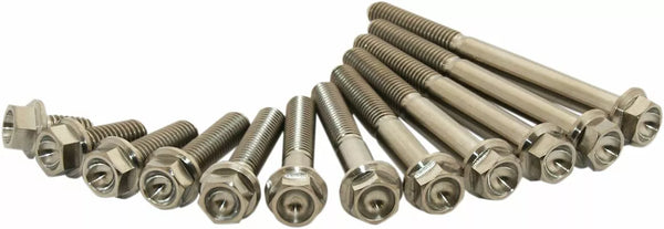 Scar Titanium Bolt M6x25 Pack 2 Stimp6x2502