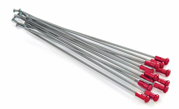 KITE MAPOKES 19 RR SI /RE NIP 12PC 20.907.0.RO