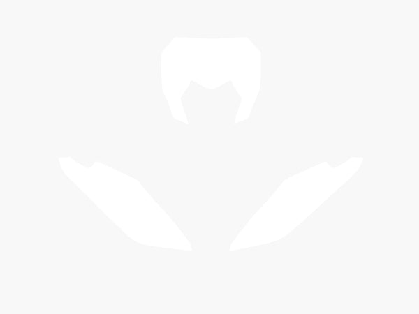 Samolepky Blackbird Plate White Fantic XX 3F00/000005