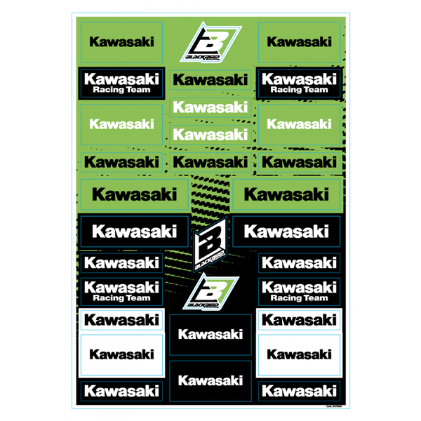Blackbird sticker - Kawasaki - 5076ka