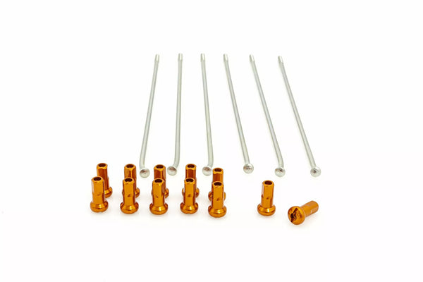 KITE MAPOKES 19 RR SI /NEBO NIP 12PC 20.907.0.AR