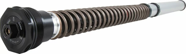 Ohlins Cartridge BMW R Nine T Nix30 F Fks 505