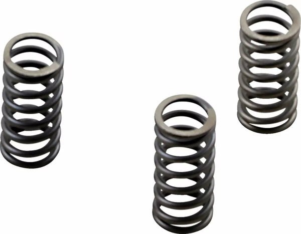 Sada pružiny spojky EBC CSK CSK236