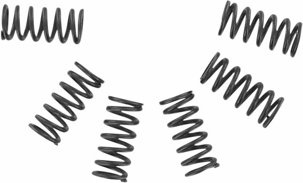 Sada pružiny spojky EBC CSK CSK002