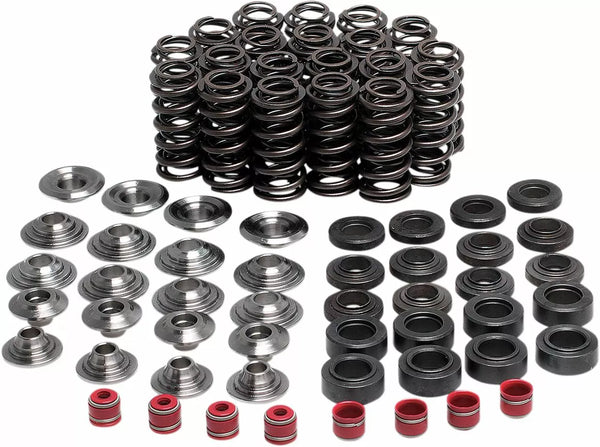 Kiblwhite Valve Spring Kit YZFR1 80-80250