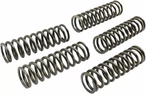 EBC Clutch Spring Set (5 PCS) CSK239