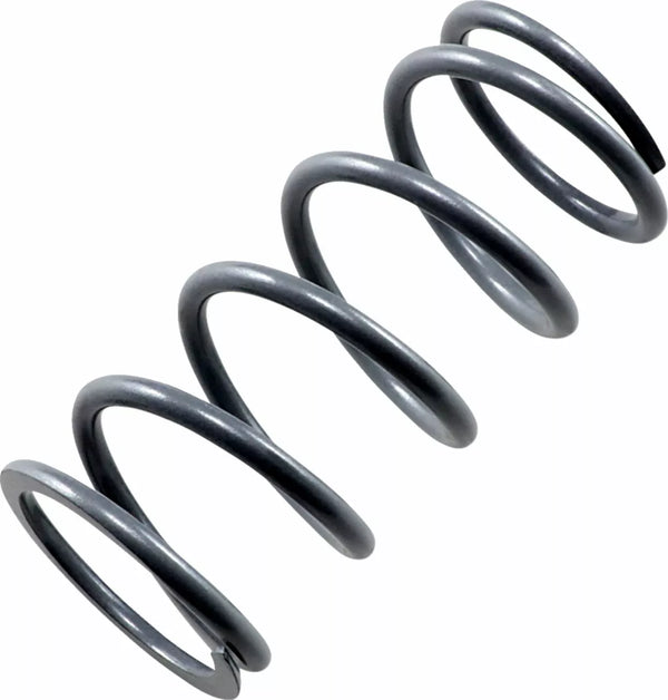 EPI Primární jaro stříbro PS-6