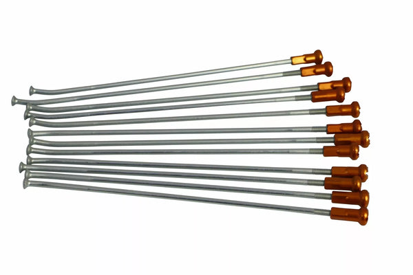 Kite paprsky 18 RR SI/nebo NIP 20.909.0.AR