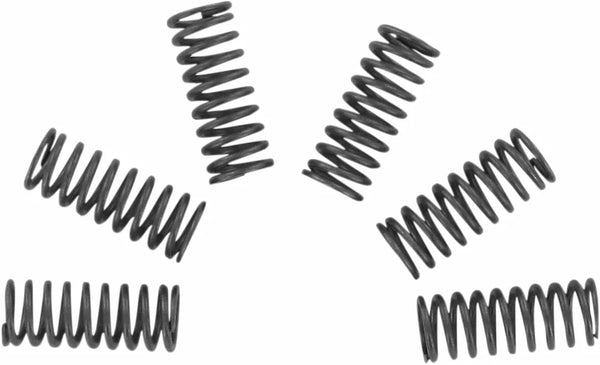 Sada pružiny spojky EBC CSK CSK032